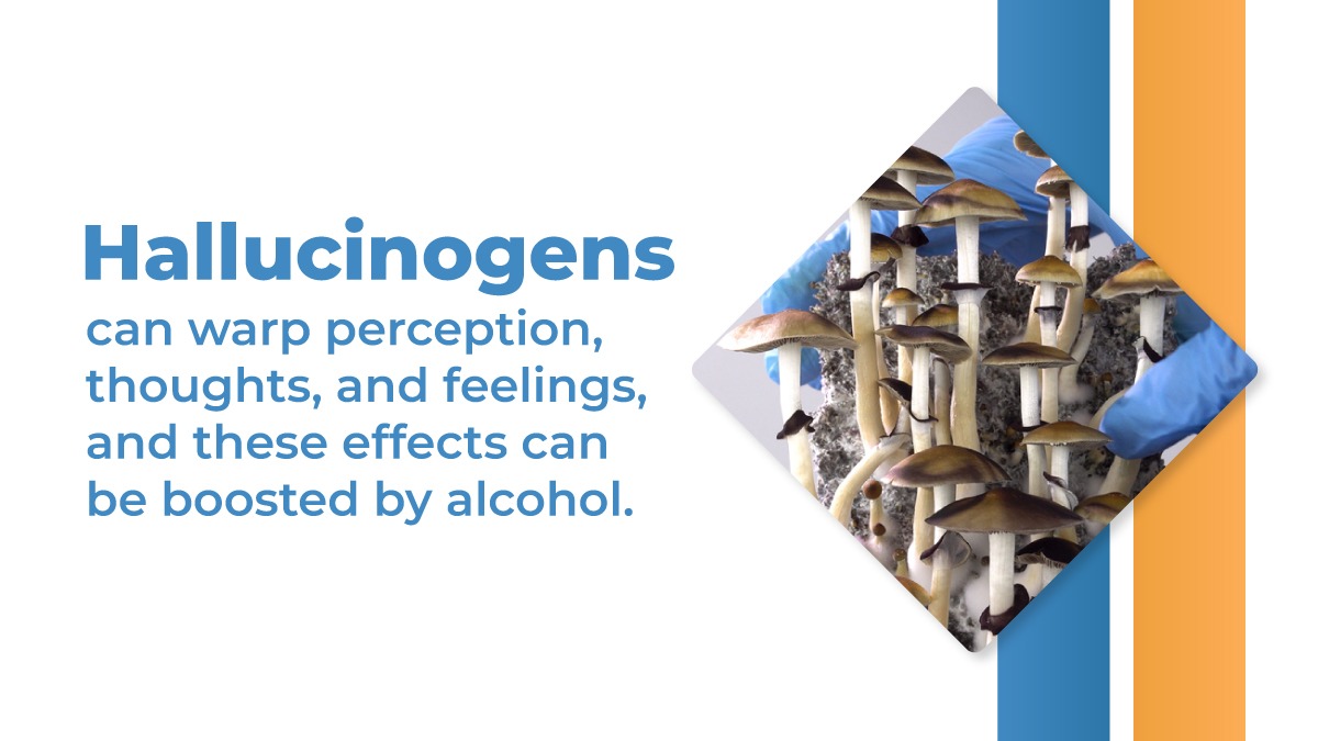 Mixing hallucinogens and alcohol: Hallucinogens can warp perception, thoughts, and feelings, and these effects can be boosted by alcohol.